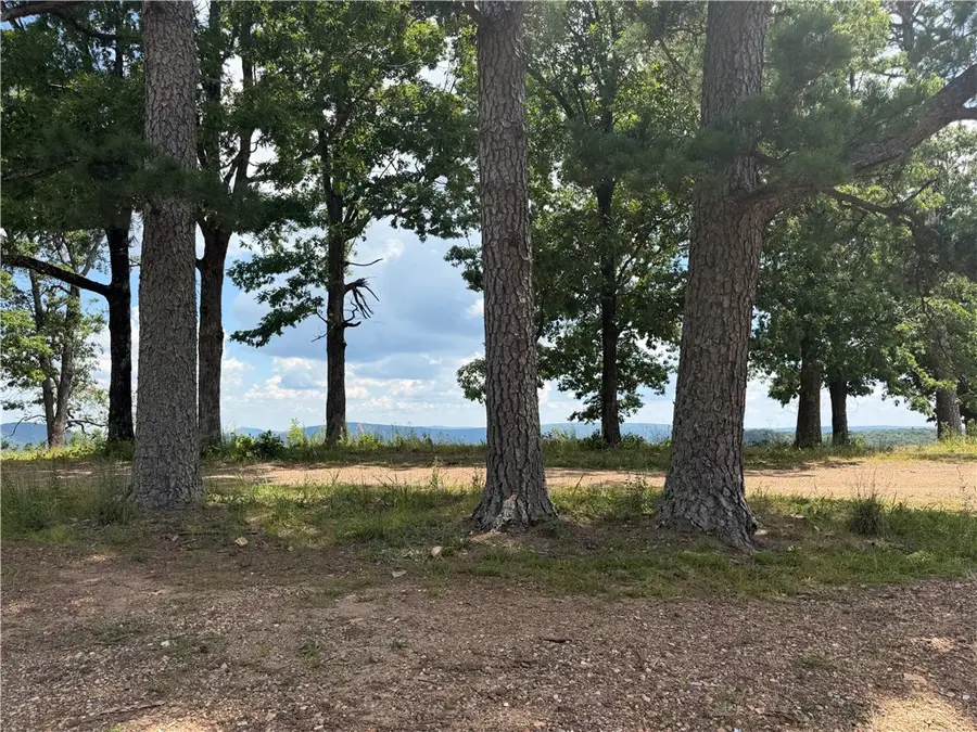 87 Nc 6829, Jasper, AR 72641 - #3
