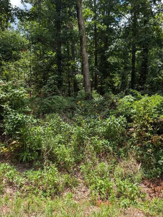 Buckden Lane, Bella Vista, AR 72715 - #1