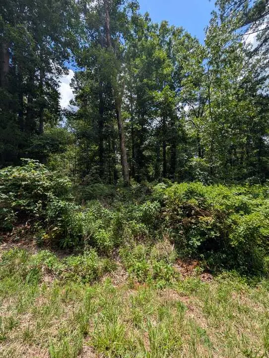 Buckden Lane, Bella Vista, AR 72715 - #2