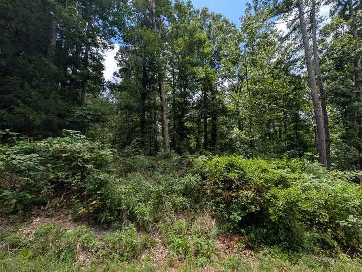 Buckden Lane, Bella Vista, AR 72715 - #3