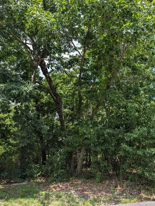 Campbell Lane, Bella Vista, AR 72715