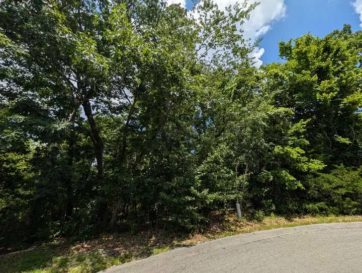 Campbell Lane, Bella Vista, AR 72715 - #3