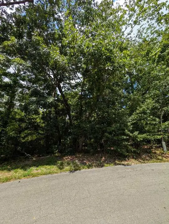 Crosshill Drive, Bella Vista, AR 72715 - #2