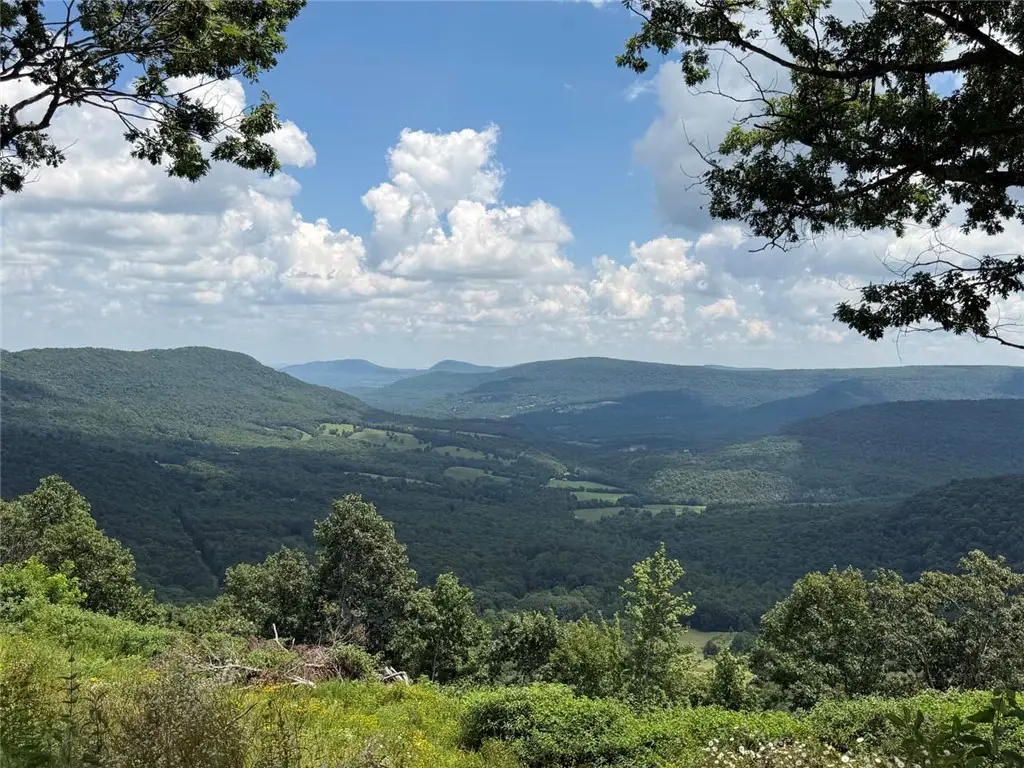 Lot 4 Nc 6829, Jasper, AR 72641 - #1