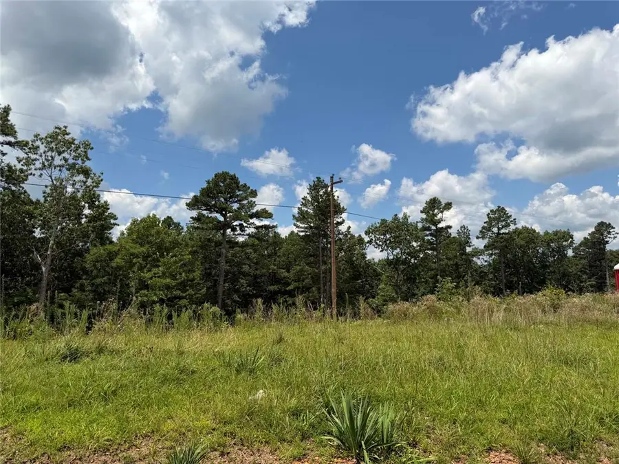 Lot 4 Nc 6829, Jasper, AR 72641 - #2