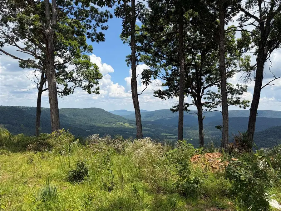 Lot 4 Nc 6829, Jasper, AR 72641 - #3