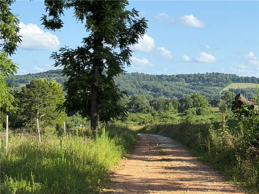 1397 Underwood Lane, Berryville, AR 72616 - #3