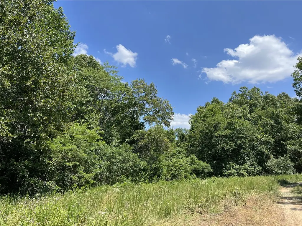 Meadow Creek Drive, Harrison, AR 72601 - #1