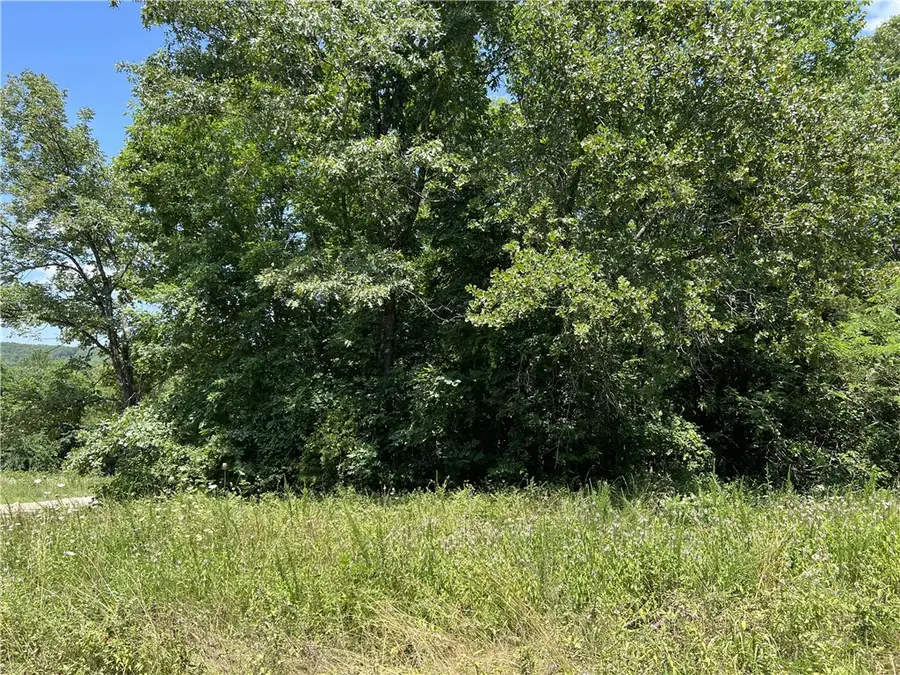 Meadow Creek Drive, Harrison, AR 72601 - #2