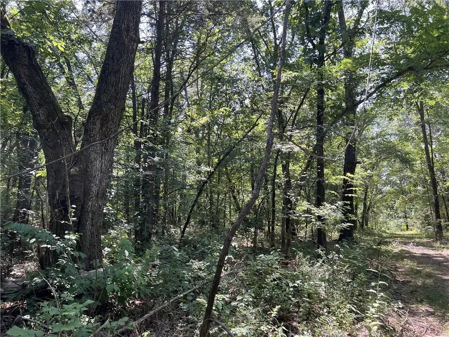 Meadow Creek Drive, Harrison, AR 72601 - #3