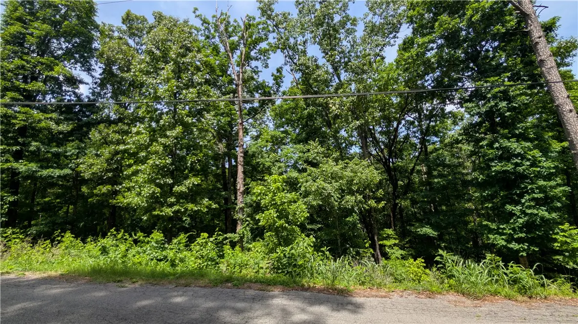 16-02506-000 Spencer Drive, Bella Vista, AR 72715 - #1