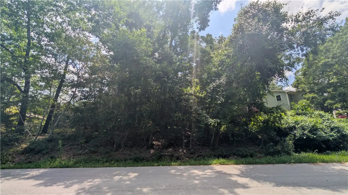 16-29130-000 Lockton Drive, Bella Vista, AR 72714 - #1