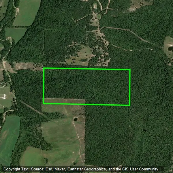 TBD Cr 919, Alpena, AR 72611 - #1