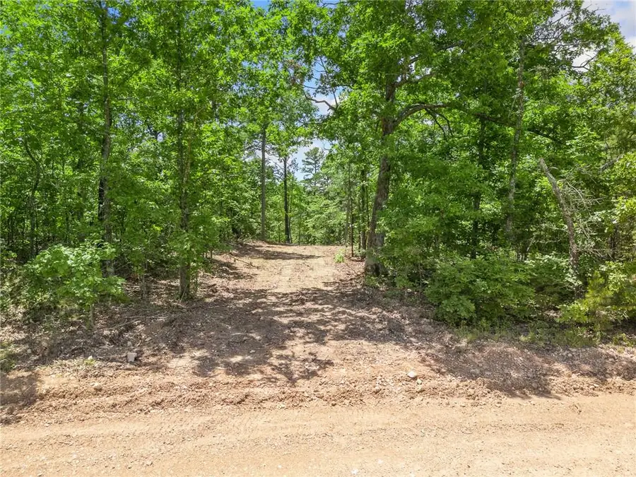 TBD Morgan Cave Road, Harrison, AR 72601 - #2