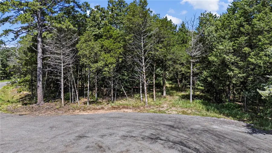 553 Apple Lane, Russellville, AR 72802 - #2
