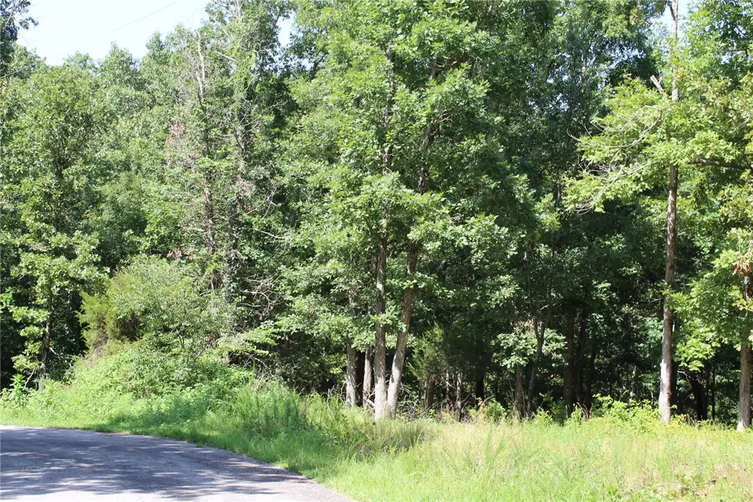 8 Lorn Lane, Bella Vista, AR 72715 - #1