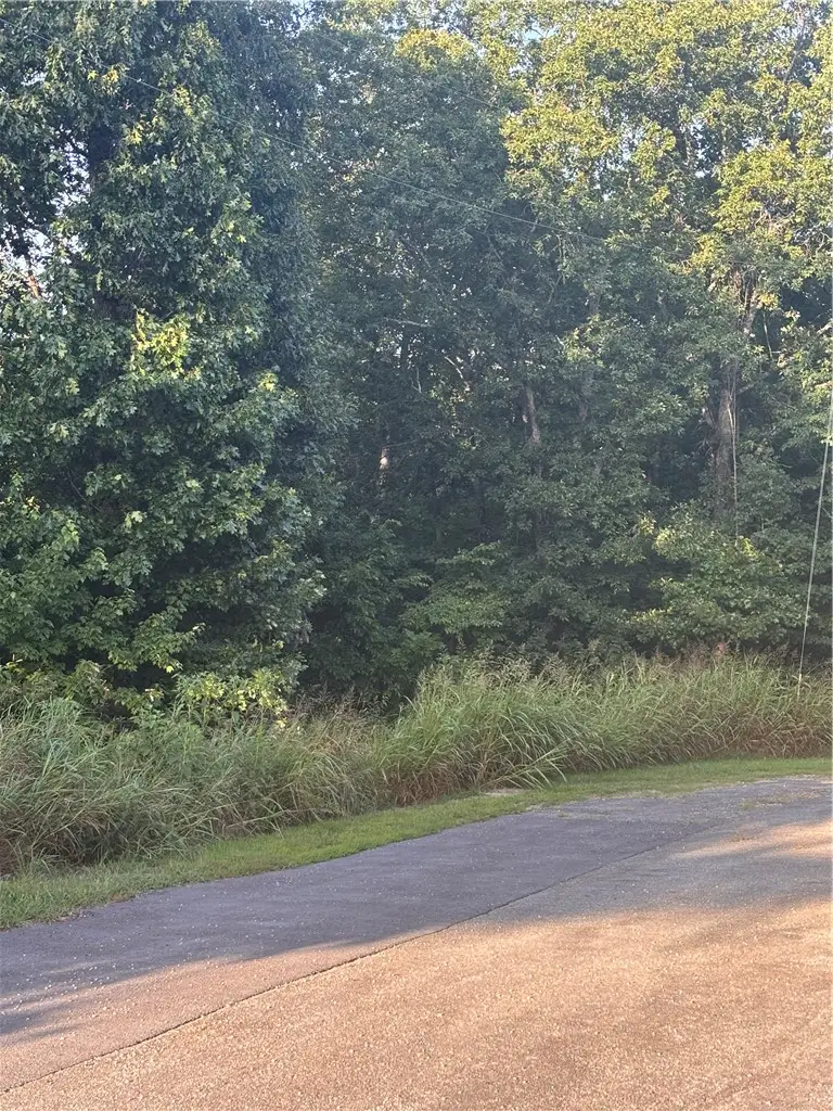 Lot 33 Block 3 Northampton Lane, Bella Vista, AR 72714 - #2