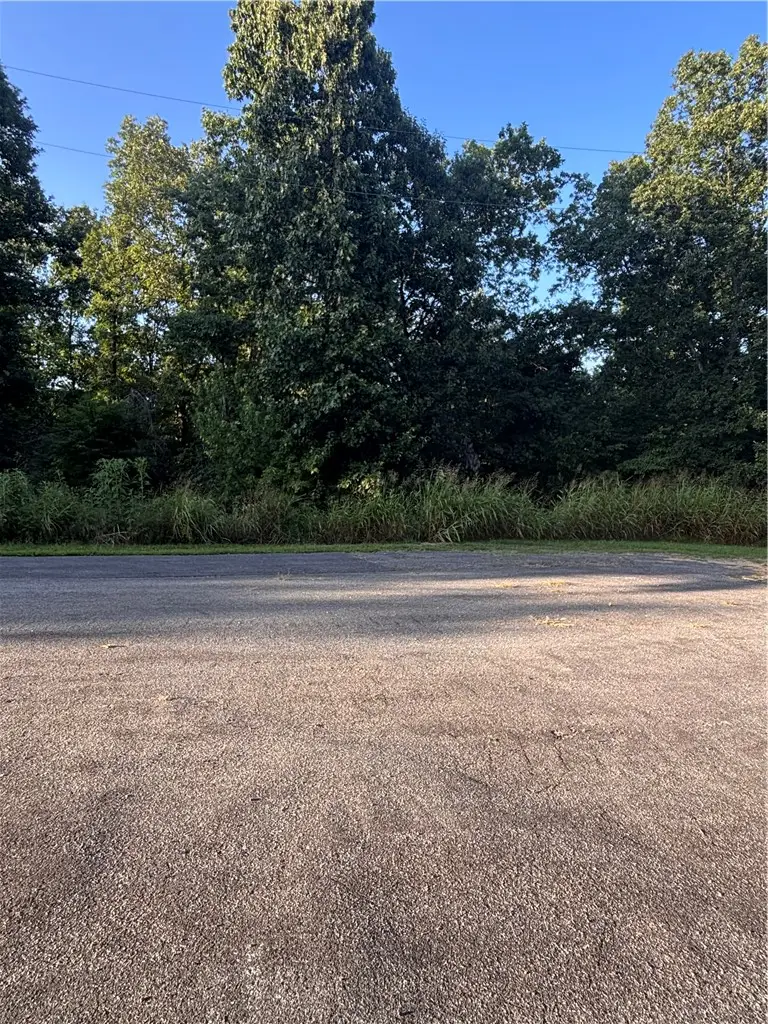 Lot 33 Block 3 Northampton Lane, Bella Vista, AR 72714 - #3