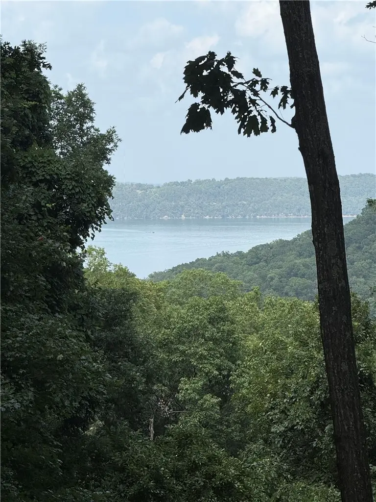 LOT 21 Mundell Road, Eureka Springs, AR 72631 - #1
