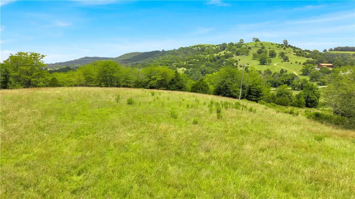 6329 Highway 21, Berryville, AR 72616 - #1