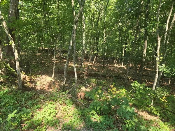 TBD Matson Lane, Bella Vista, AR 72715