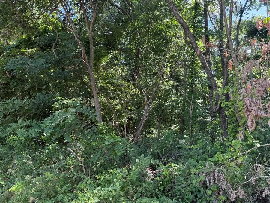TBD - 3.5ac Bethel Road, Gravette, AR 72736 - #2