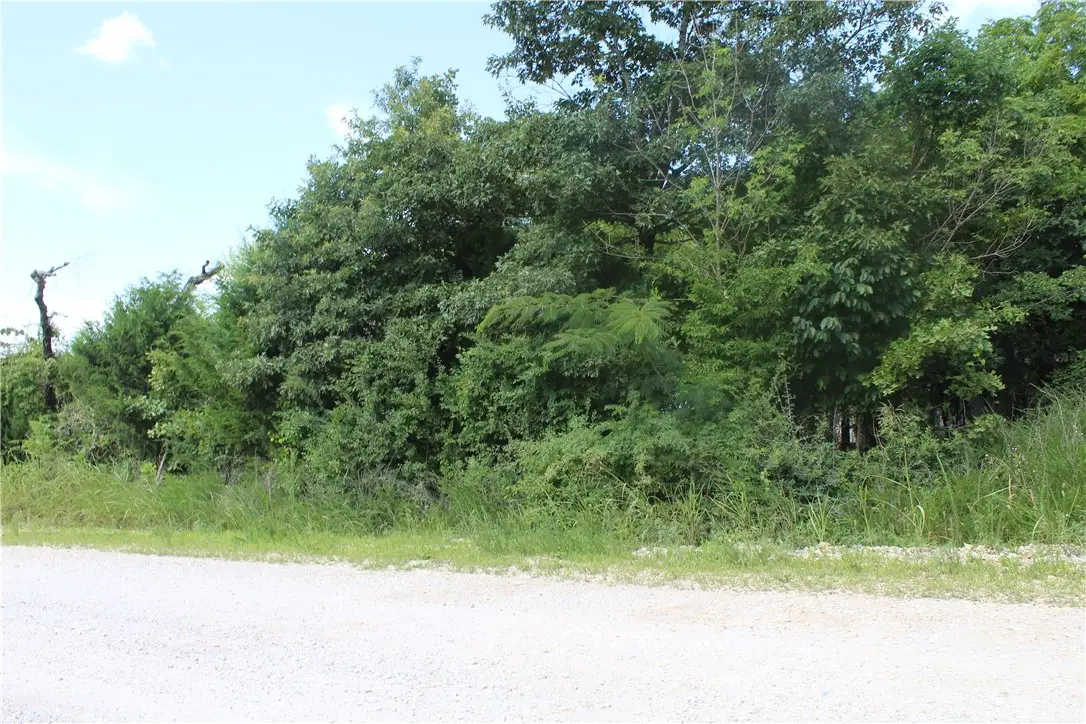 019-02950-000 Horseshoe Bend Drive, Lead Hill, AR 72644 - #1