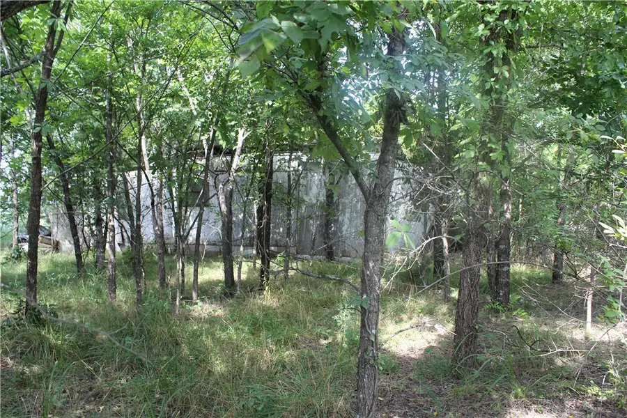 019-02950-000 Horseshoe Bend Drive, Lead Hill, AR 72644 - #2