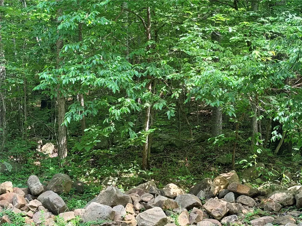 000 Terrapin Road, Harrison, AR 72601 - #1