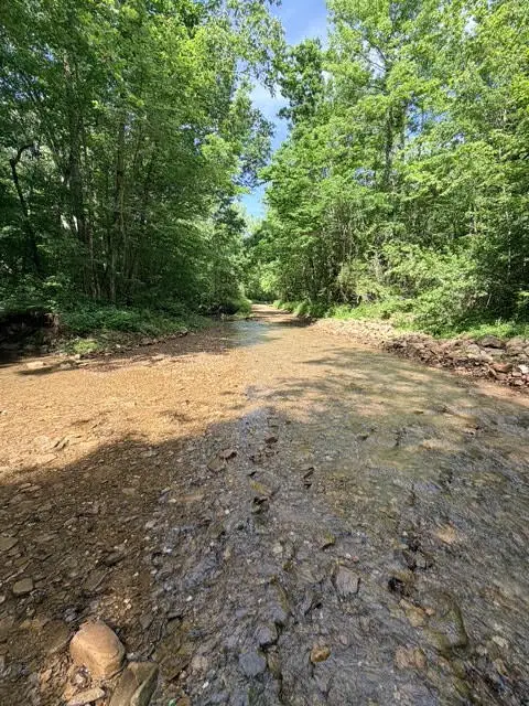 000 Terrapin Road, Harrison, AR 72601 - #3