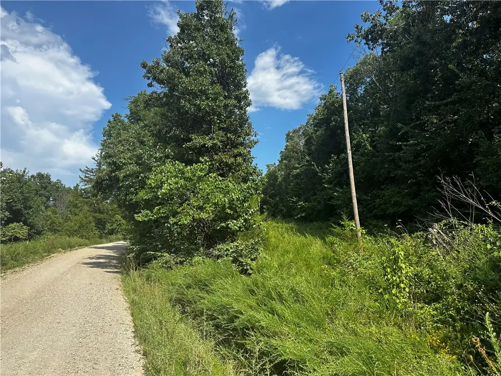 4021 Marion County, Everton, AR 72633 - #1