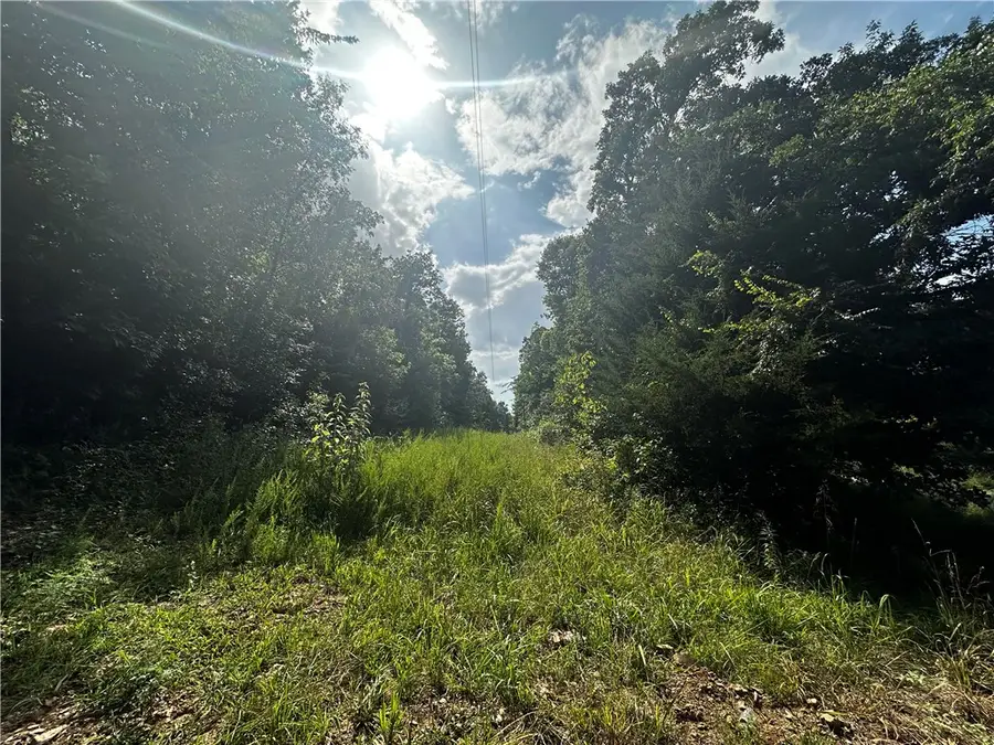 4021 Marion County, Everton, AR 72633 - #2