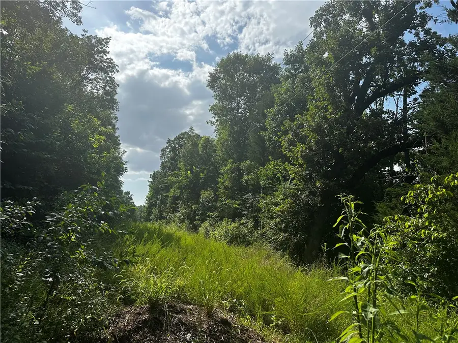 4021 Marion County, Everton, AR 72633 - #3