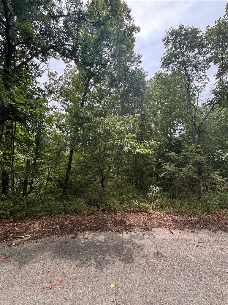 Islay Lane, Bella Vista, AR 72715 - #1