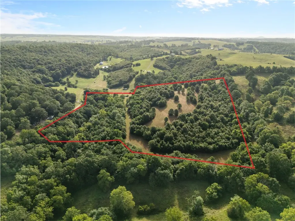 TBD (24 acres) Donkey Trail, Everton, AR 72633 - #1