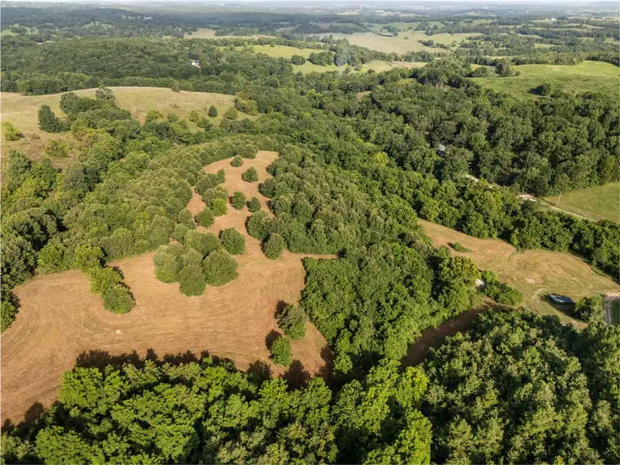TBD (24 acres) Donkey Trail, Everton, AR 72633 - #2