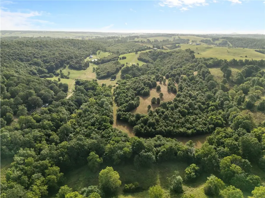 TBD (24 acres) Donkey Trail, Everton, AR 72633 - #3