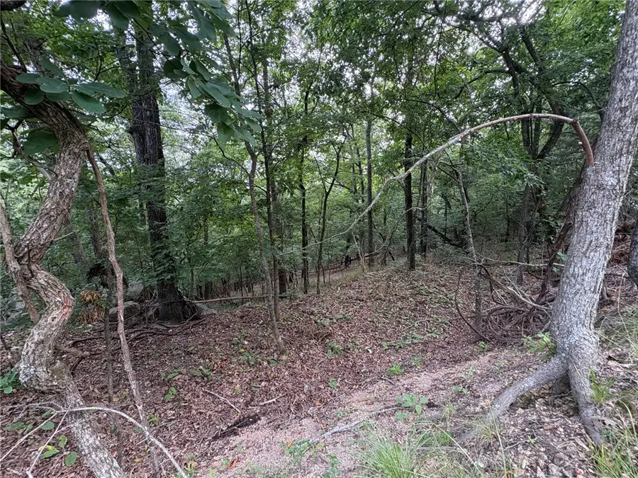 Lots 70, 71 W Airport Road, Garfield, AR 72732 - #3