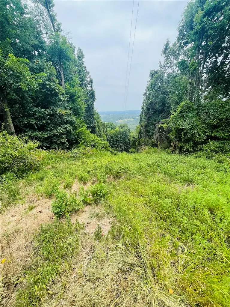 TBD Cr 246, Berryville, AR 72616 - #2