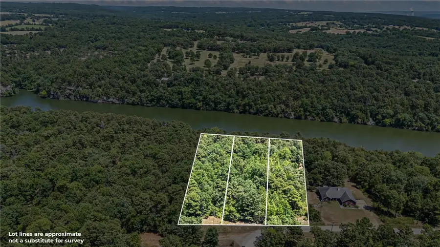 Lots 1,2,3 Pr 1699, Knoxville, AR 72845 - #2