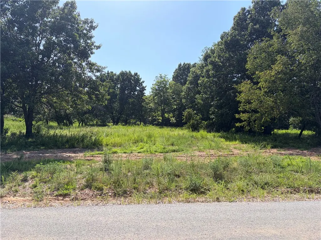 13125 Wallys Way, Siloam Springs, AR 72734 - #1