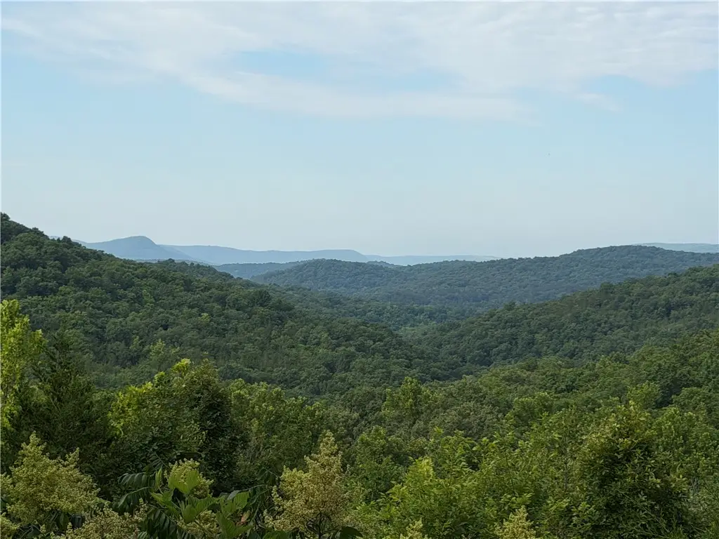 302 Nc 3421, Marble Falls, AR 72648 - #1