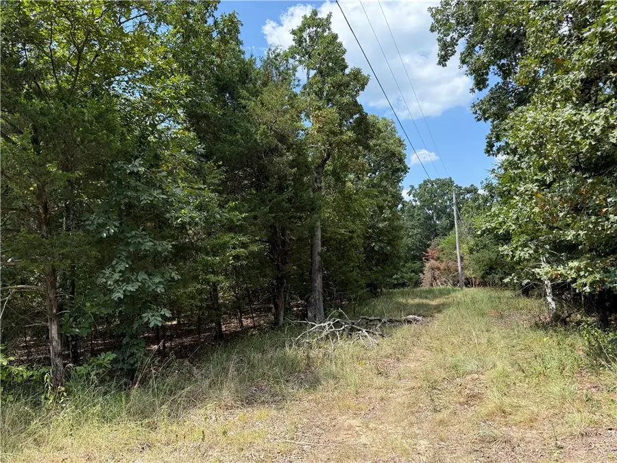 00 Norris Lane, Russellville, AR 72802 - #3