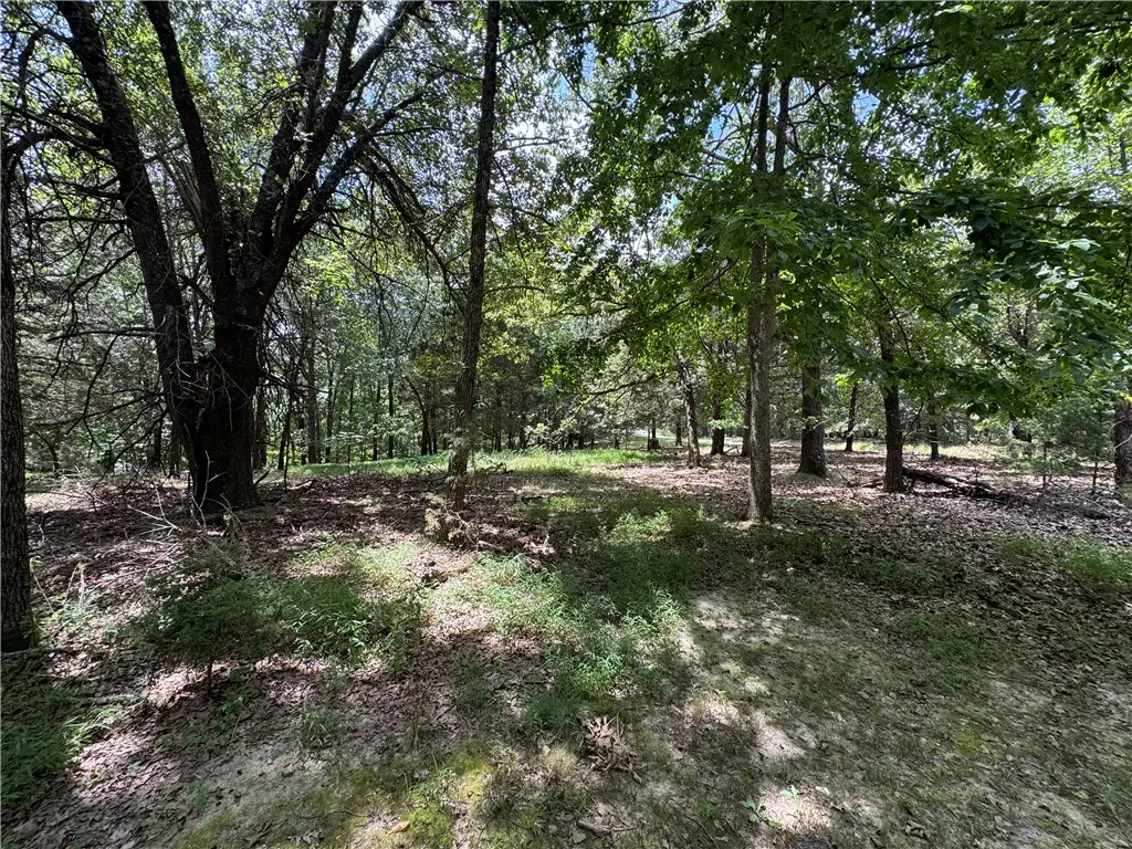TBD 000 Panorama, Rogers, AR 72758 - #1