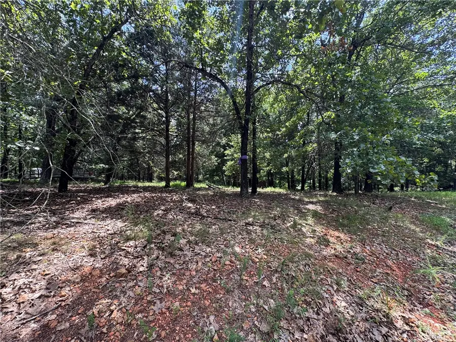 TBD 000 Panorama, Rogers, AR 72758 - #2
