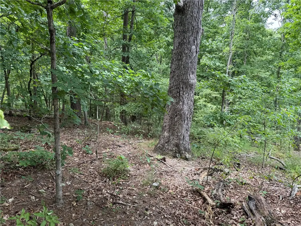 15 Dregg Lane, Bella Vista, AR 72714 - #1