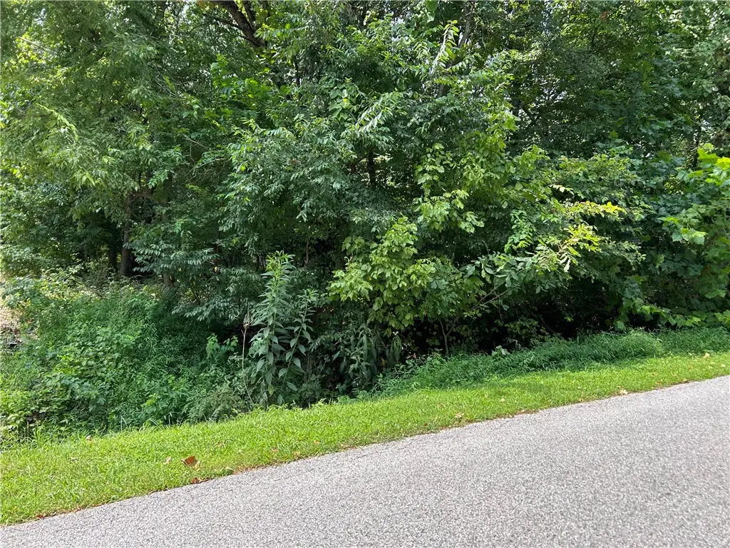 Elizabeth Drive, Bella Vista, AR 72715 - #1