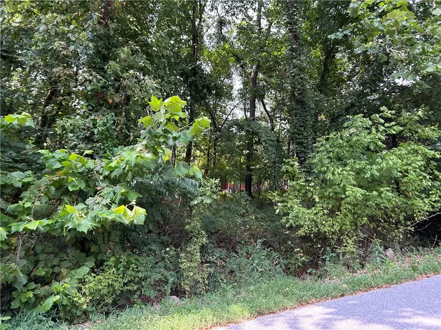Elizabeth Drive, Bella Vista, AR 72715 - #2