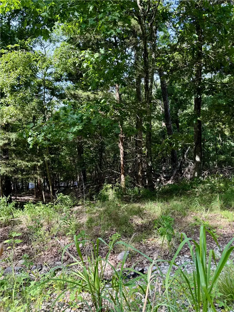 Lot 40 Pine Drive, Garfield, AR 72732 - #2