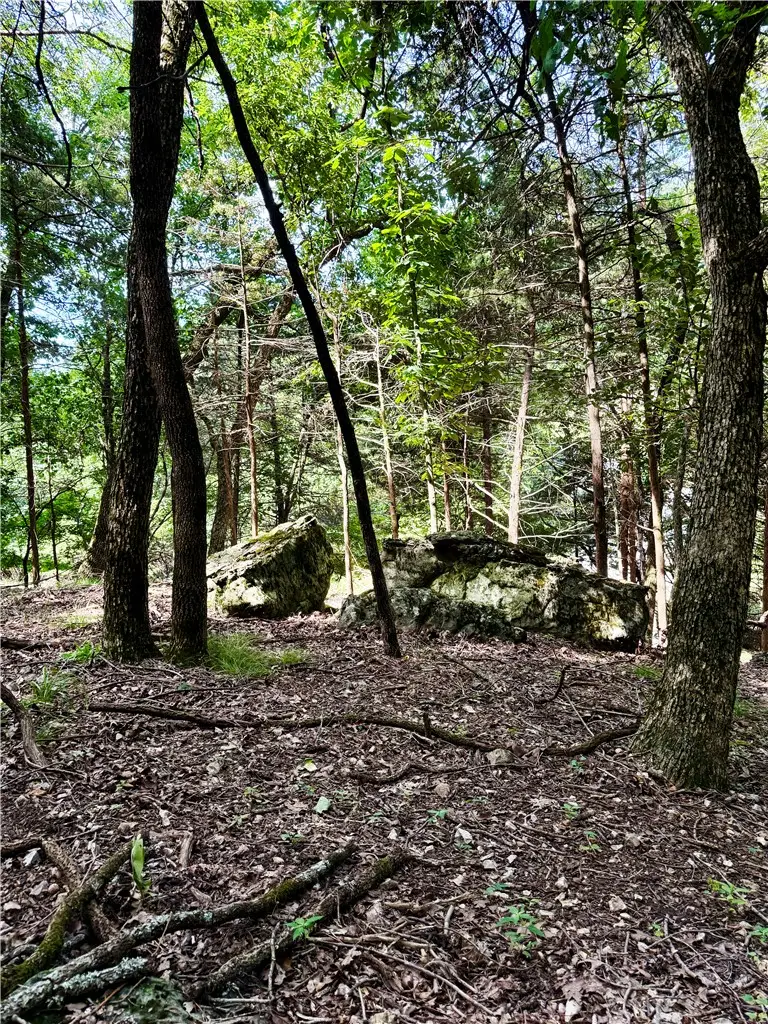 Lot 39 Pine Drive, Garfield, AR 72732 - #1